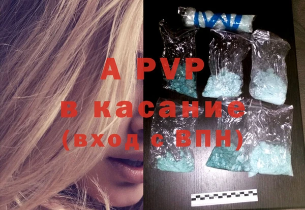 прущие грибы Медвежьегорск