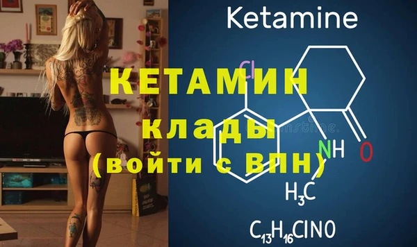 прущие грибы Медвежьегорск