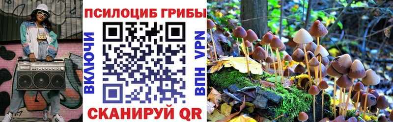 Галлюциногенные грибы Cubensis  Купить  Протвино 