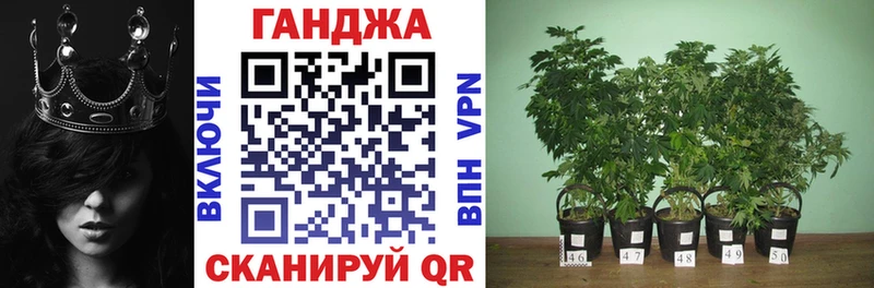 МАРИХУАНА гибрид  Купить где  Протвино 